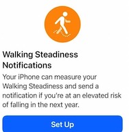 How to set up and use the Walking Steadiness Score feature and notifications in iOS 15